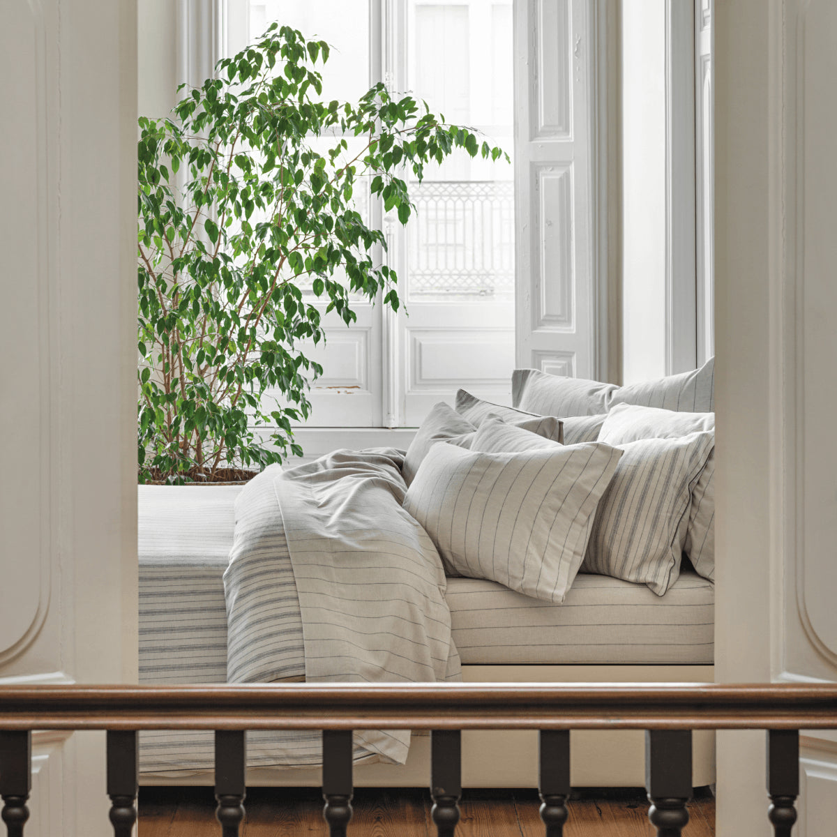 Brushed Cotton Shams