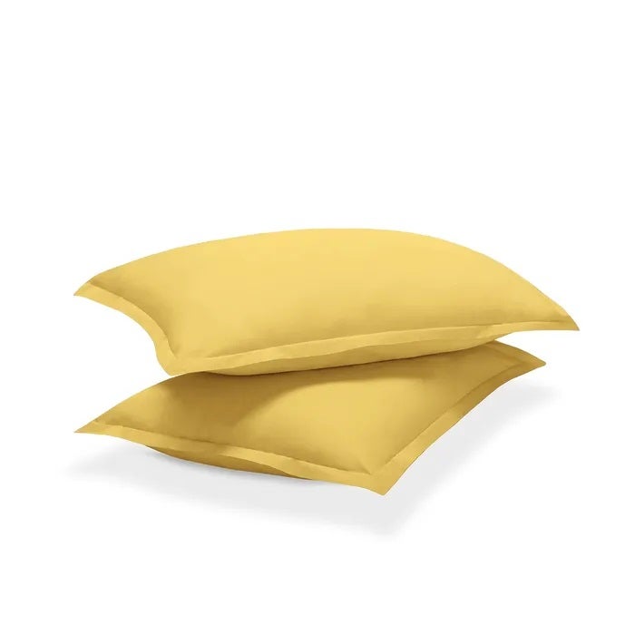 Percale Shams Pair
