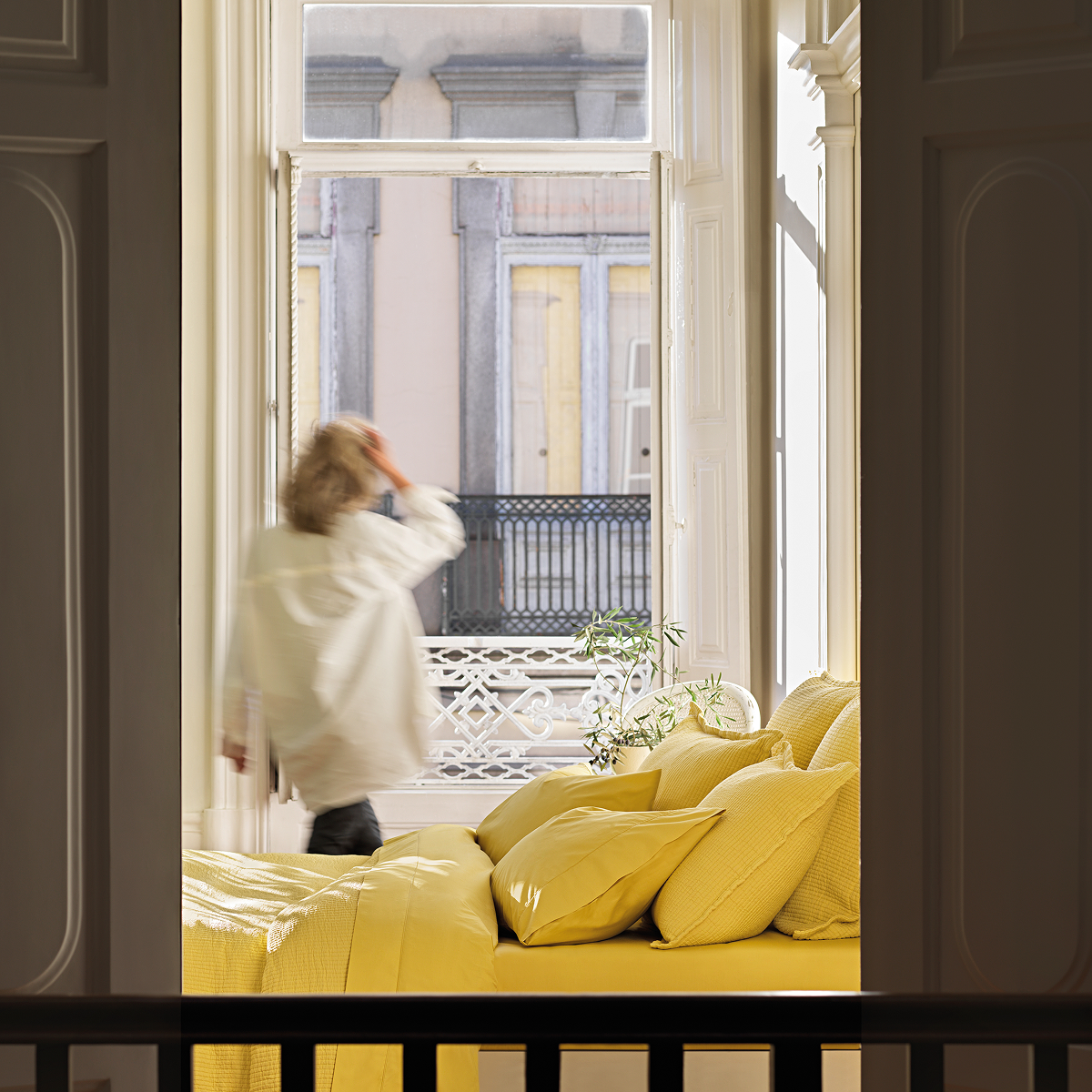 Percale Shams Pair