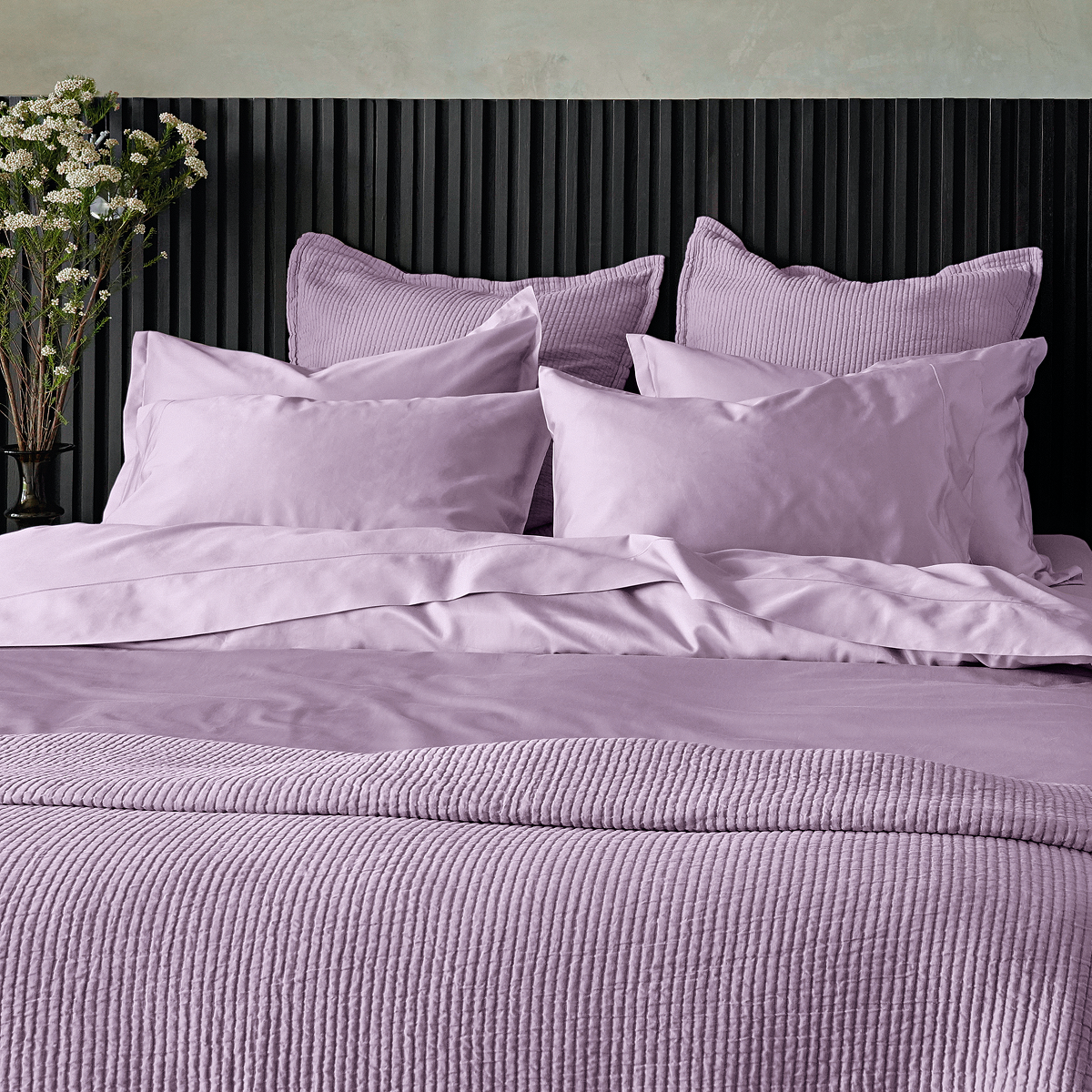 Percale Shams Pair