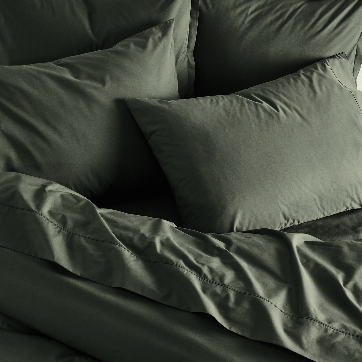 Percale Shams Pair
