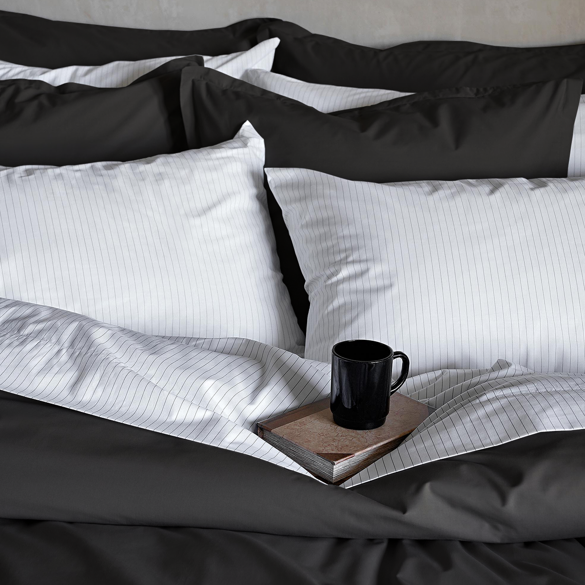Sateen Shams Pair