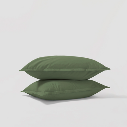 Percale Shams Pair