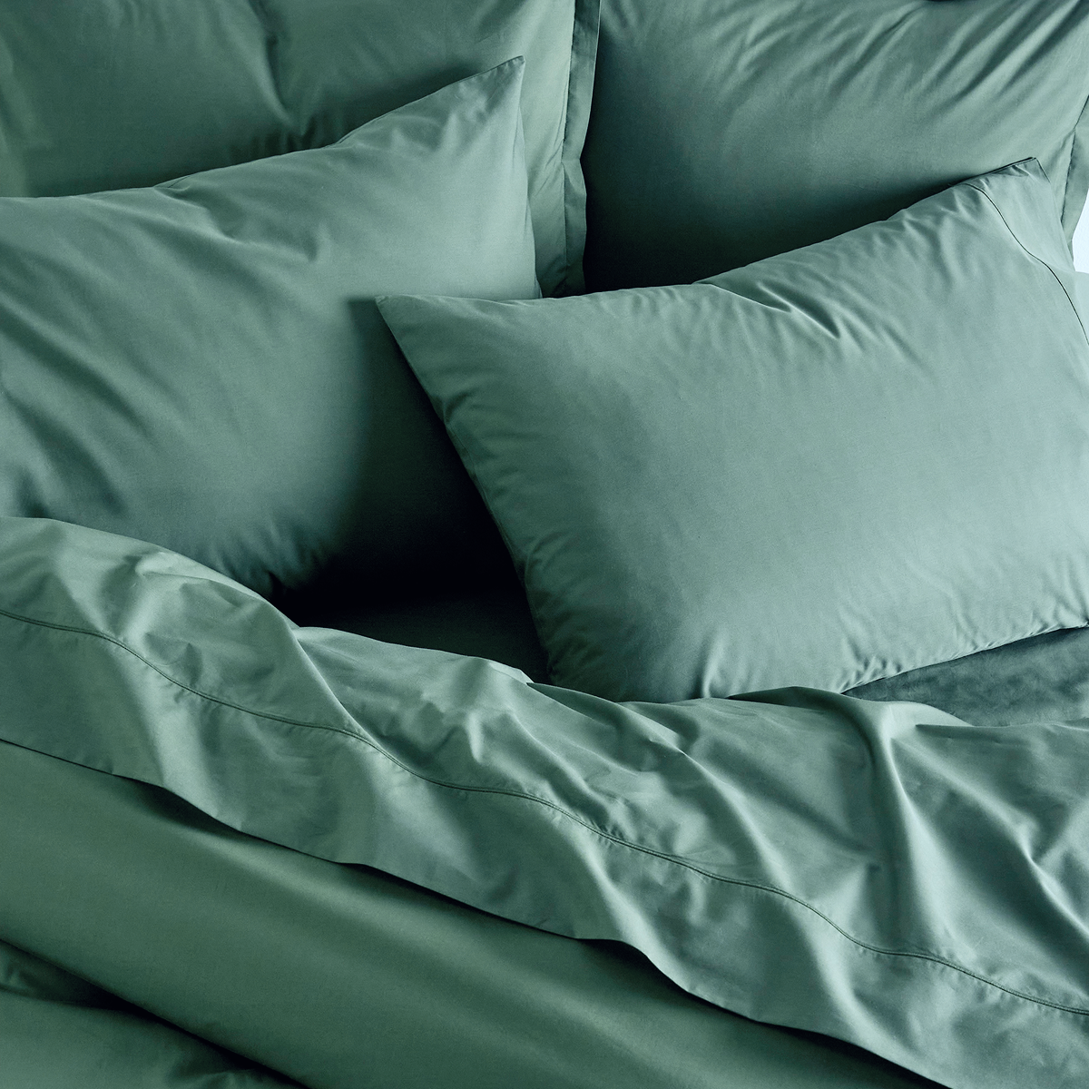 Percale Shams Pair