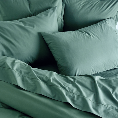 Percale Shams Pair