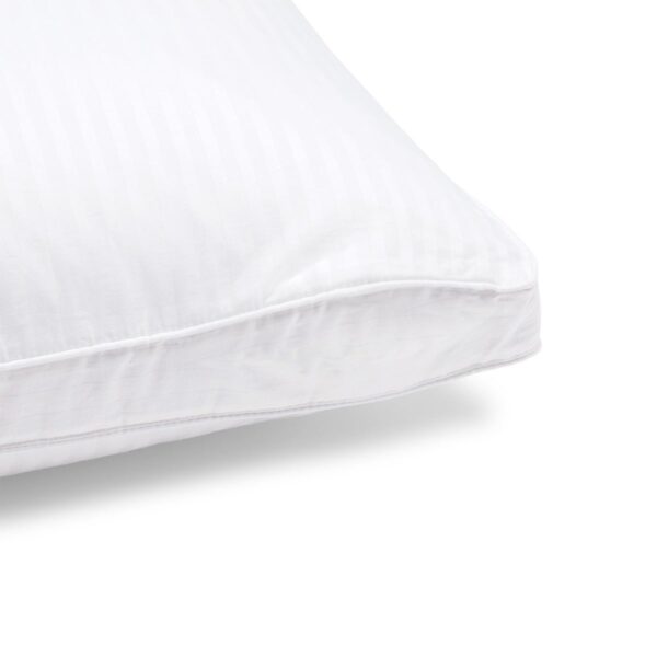 White Down Pillow